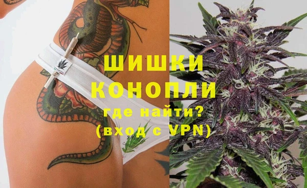 стафф Михайловск