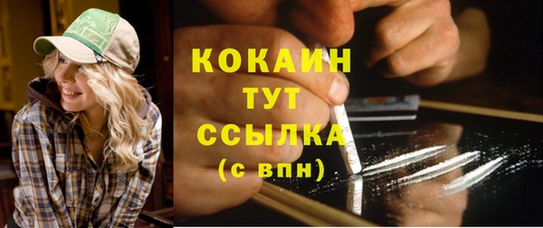 стафф Михайловск