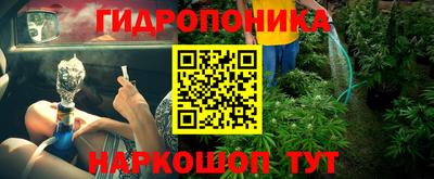 стафф Заводоуковск