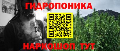 стафф Заводоуковск
