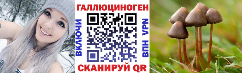 Псилоцибиновые грибы мухоморы  где купить наркоту  Рассказово 
