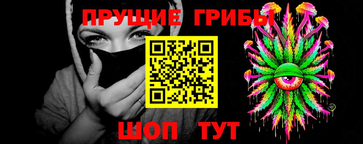 Псилоцибиновые грибы Psilocybe Рассказово